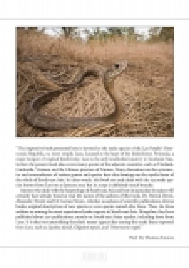 The Snake of Laos